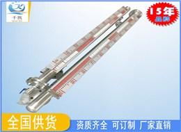 侧立式磁翻板液位计